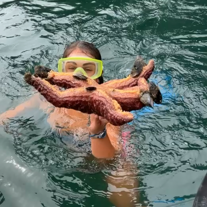 The image shows a person in the water holding a large starfish. The person is wearing goggles and appears to be snorkeling or diving. The starfish is a reddish-orange color and has several arms. The water is dark and the background is blurred.